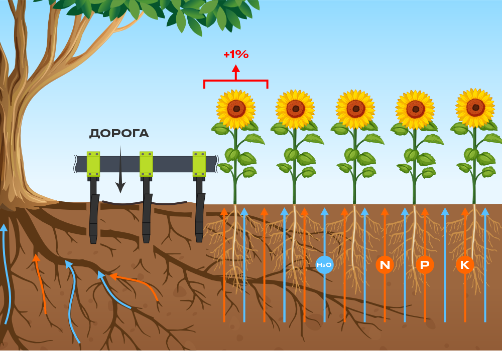 ПОСЛЕ ПРОХОДА</br>ЧДТ-4