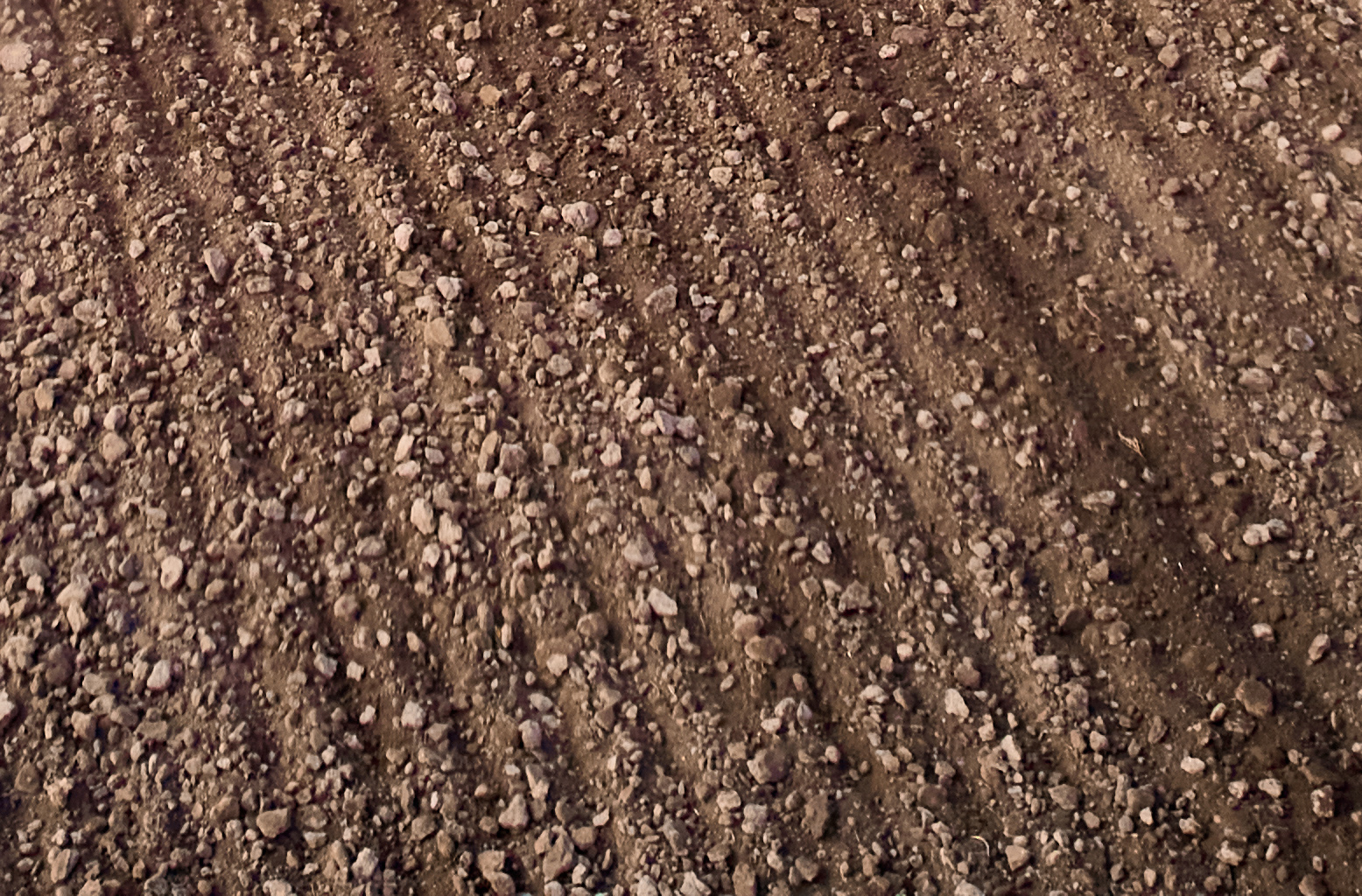 После обработки шлейф бороной БЗШ