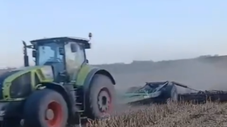 Ножевой каток МК-12 «Бритва» в работе по кукурузе