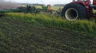 Дискатор БДП-10-430 заделывает сидерат