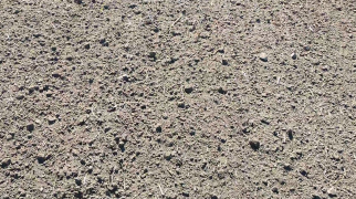 Результат обработки ПАВ-6