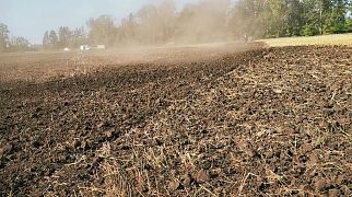 БДП-6-620 по стерне рапса