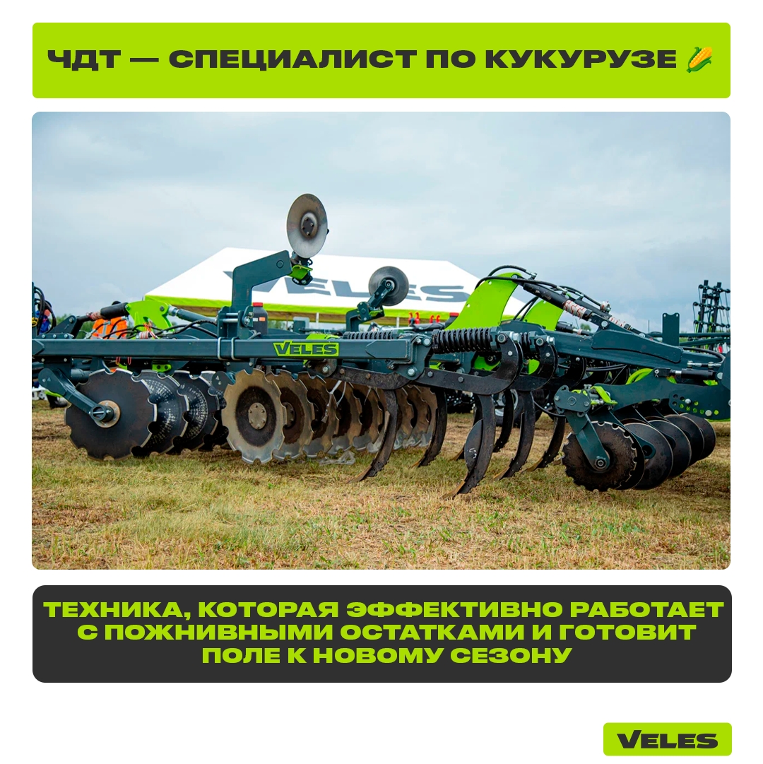 ЧДТ для кукурузы