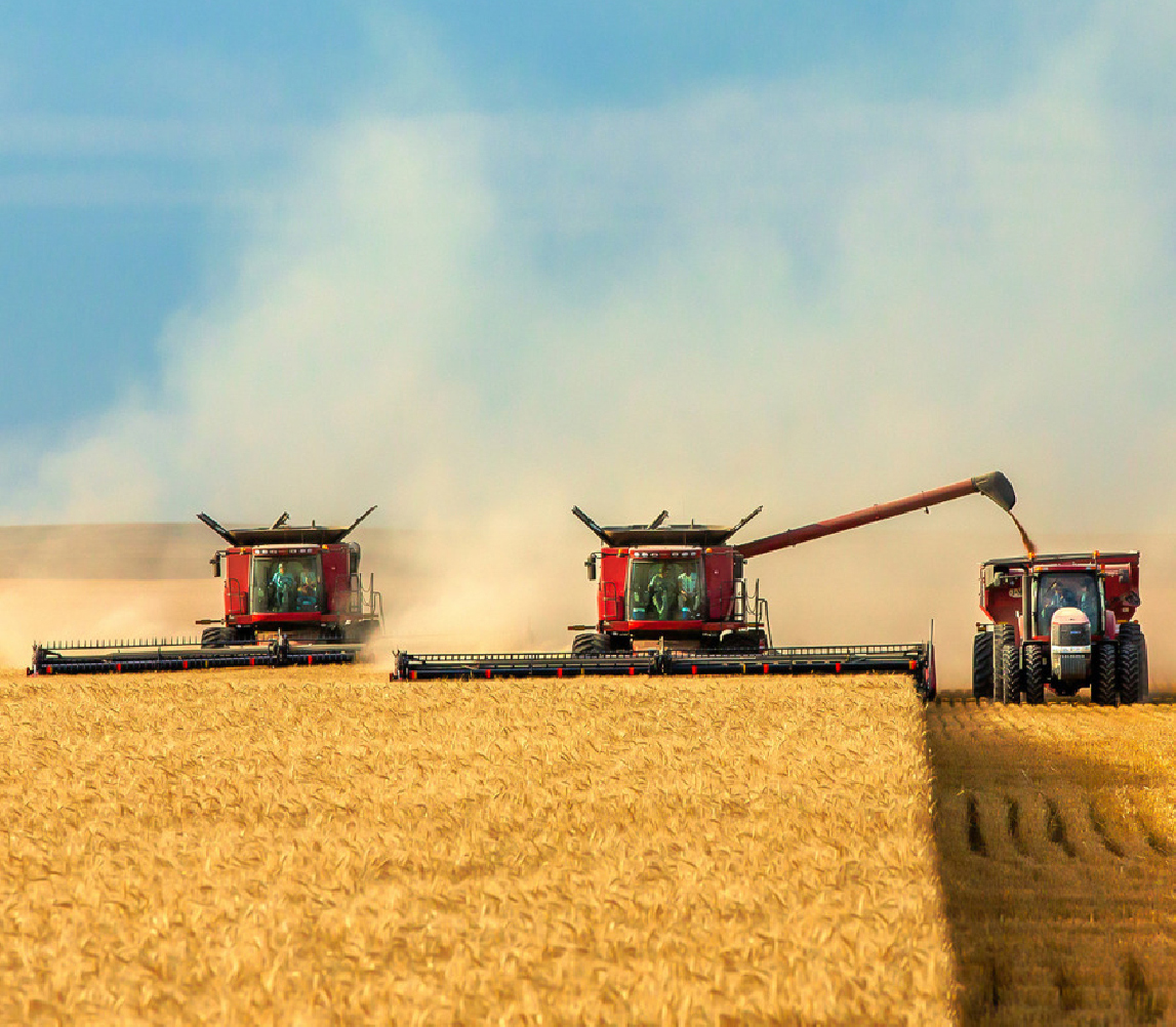 IST SIBIRIEN EIN ORT, WO ES VIEL SCHNEE GIBT? – JA!