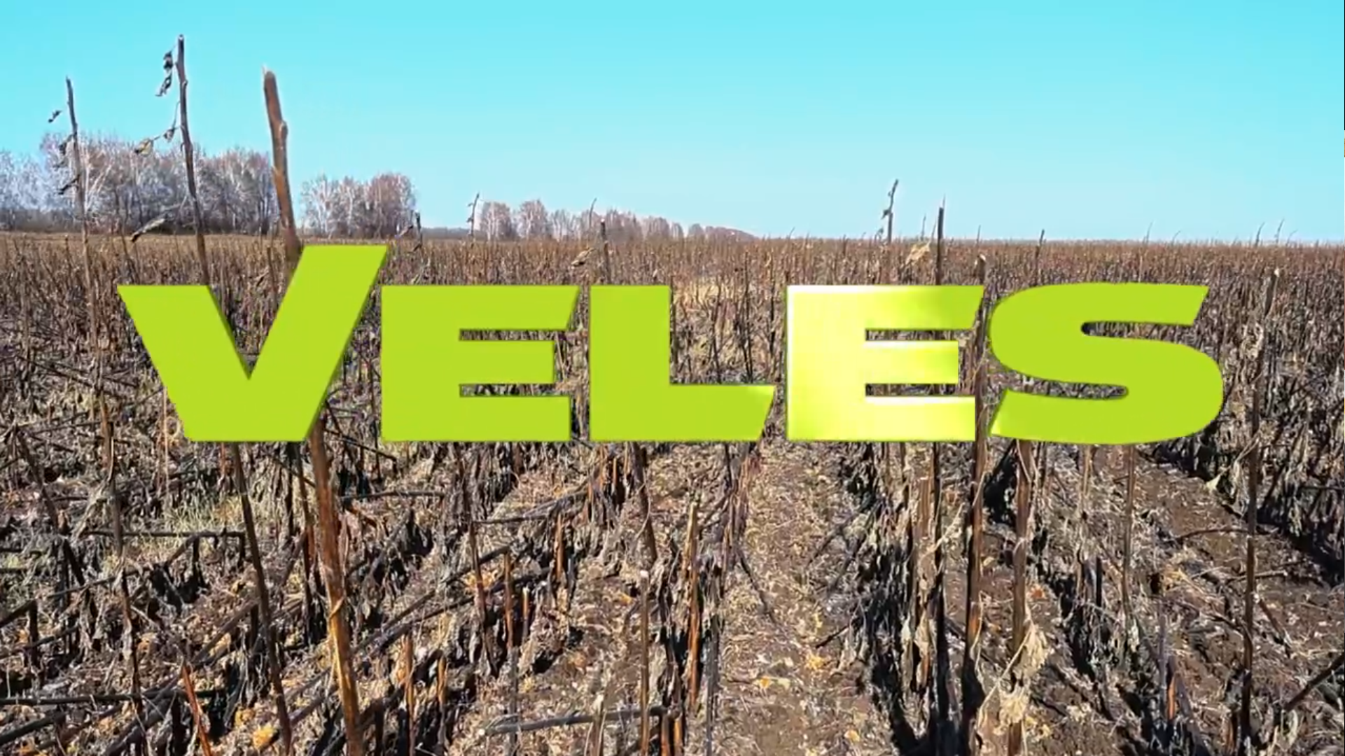 Важная новость от VELES!