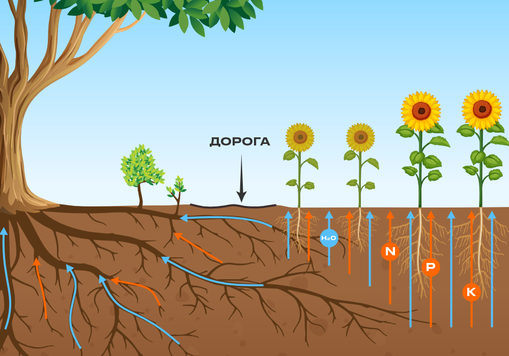 ДО ПРОХОДА</br>ЧДТ-4