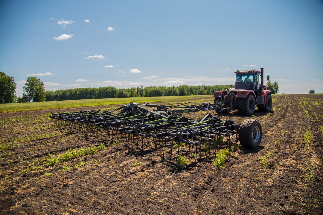 VELES continues to develop its export program.