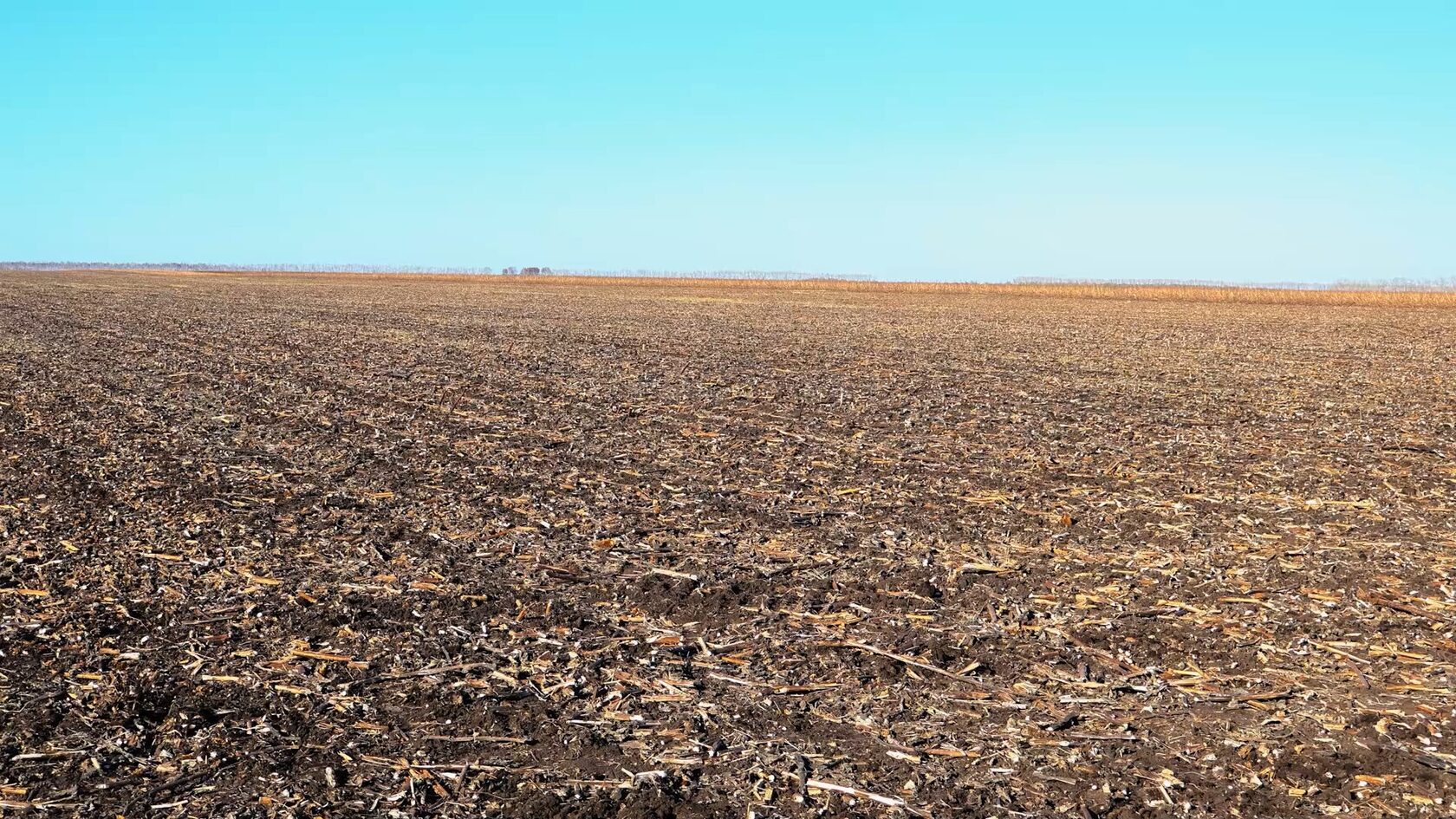 После обработки катком МК