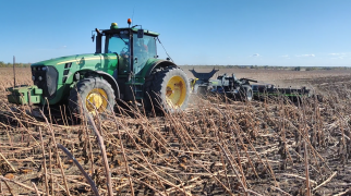 БДП-10-430 работает по стерне подсолнечника