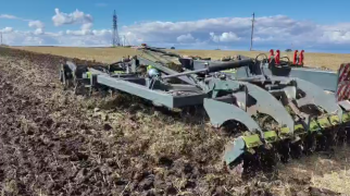 ЧДА по стерне рапса