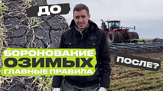 Боронование озимой пшеницы при помощи АГС с одним рядом звеньев